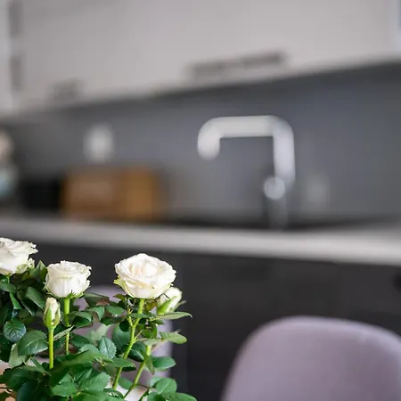 Kallan Pore Kalajoki